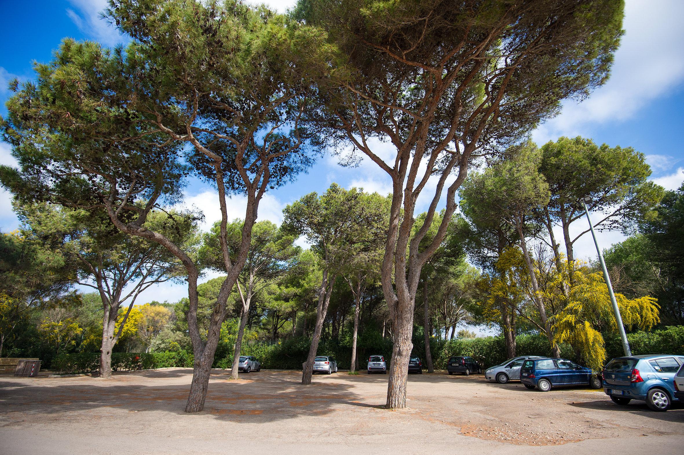 Ecoresort Le Sirene - Caroli Hotels Gallipoli Exterior photo